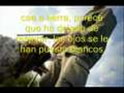 fuego amigo