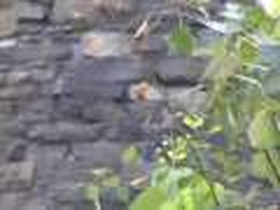 Rheal Rivest-Prophecy about Canada- Street church-Part 2