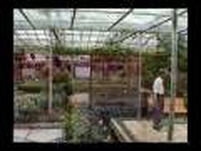 Grandma visit a Greenhouse