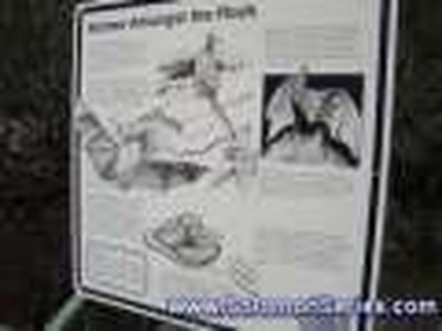 The Waterfall at Tolmer Australia