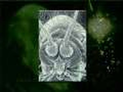 Origin of Species Part 3