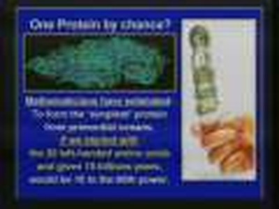 12-Winning The Lottery of Evolution
