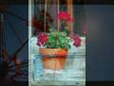 Simple Wisdom for Abundant Living