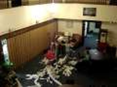 Toilet Paper Wars