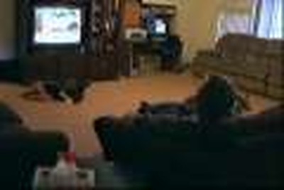 Couch Potato or Partner?