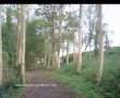 Be Thou My Vision - Images from one of Ireland's oldest...