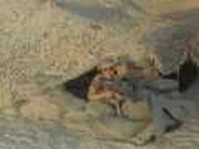 Desert Shield &amp; Desert Storm - 1990-1991