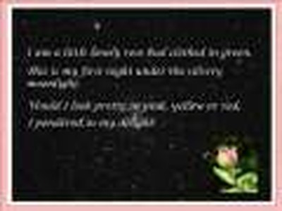 God Made All Things Beautiful (Story of a Rose)