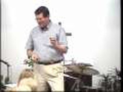 May 31 sermon