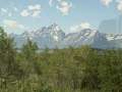 my trip to yellowstone park