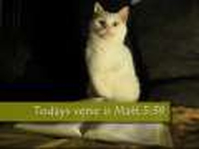 Bible verses with Tripawed