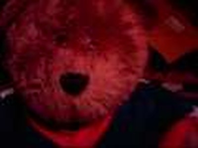 So Funny ... check out ...Boxer the Bear Looking for a Date !