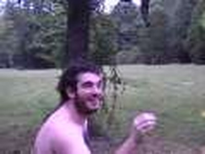 Righteous Insanity: What Really Happened to the Dinosaurs?