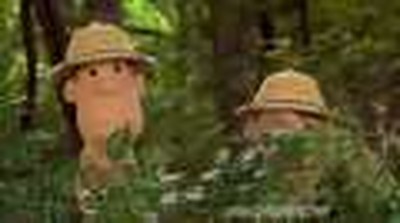 God's Amazing Animals - Iguanas