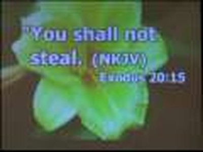 You Shall Not Steal