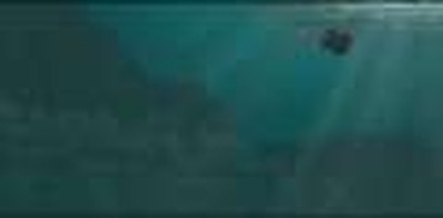 Darwin's Dilemma Trailer - Excellent Cambrian Explosion Movie Now Available On DVD