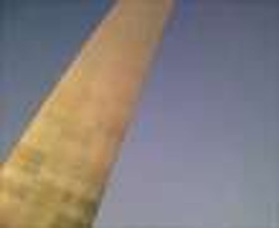 Church n State