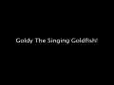 Goldy The Singing Goldfish!