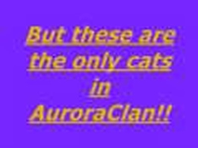 AuroraClan-we need you!