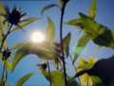 Worship Medley 5 (I Surrender/I Will Follow)