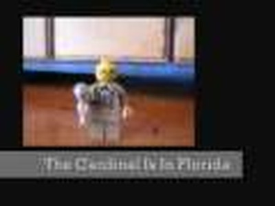 Lego News At 9