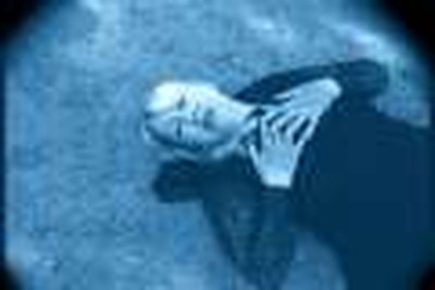My Tainted Heart