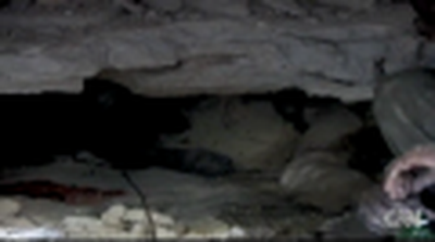 JESUS, MY LIFE IS IN YOUR HANDS - HAITI EARTHQUAKE VICTIM