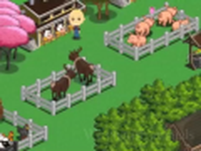 Farmville Christians