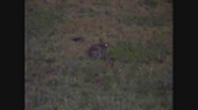 Part 21, I Samuel Explained, From Ch 15 Verse 12 To Ch 16 Verse 1