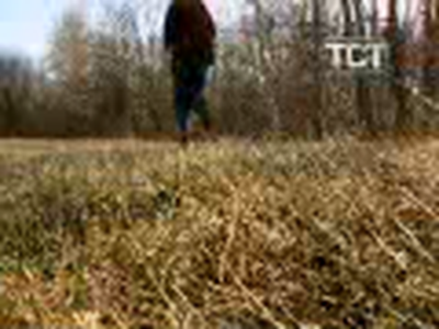 LOST