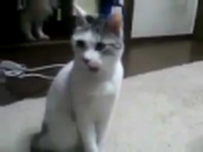 Kitty is shocked and appalled!