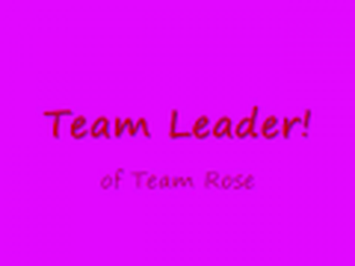 Sonic Heroes Tean Rose!