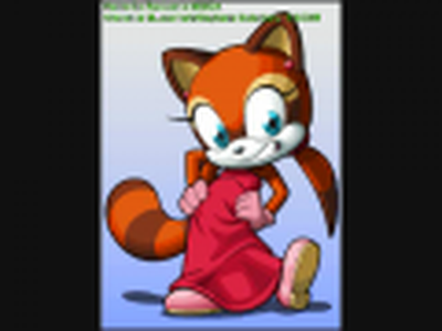 Marine the Raccoon