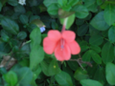 My Momentum Blessing pt#6