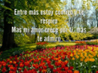 Crece Mas MI Amor Por Ti