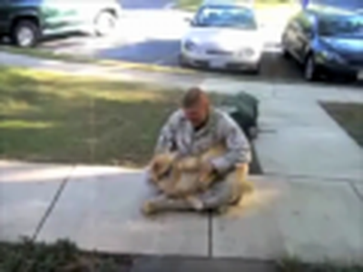 Soldiers Surprising Their Loved Ones: The Best Of