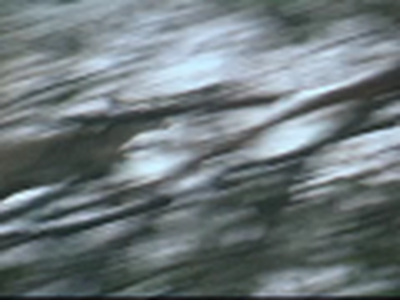 Rugged Cross Outdoors 2009