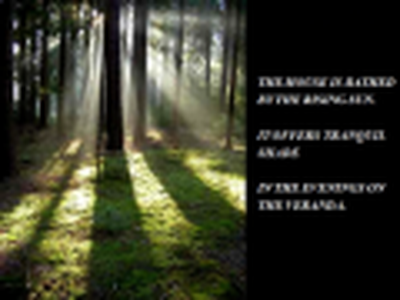 The Song of the Birds