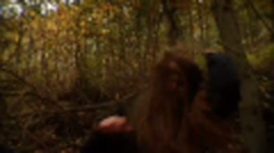 The Wylds - Movie Trailer