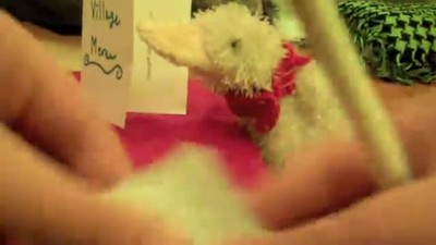 Webkinz How To Show 9 ( SEASON 2!!!!)