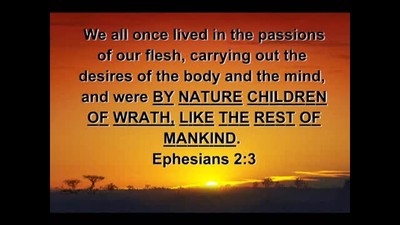 The Doctrine of Total Depravity