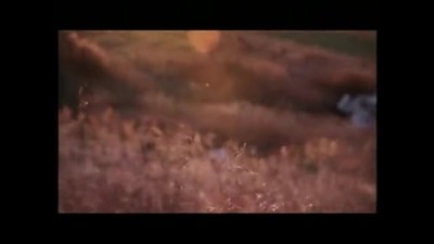 Ruth - Back To The Five