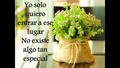 Tu AMOR