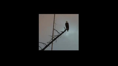 Yes I Can --The Battle Belongs To The Lord