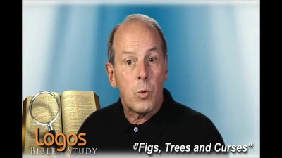 Figs, Trees and Curses