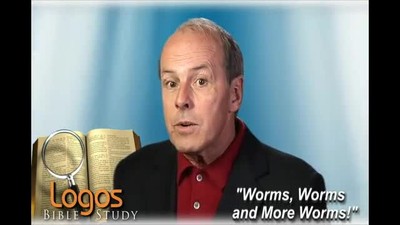Worms, Worms and More Worms