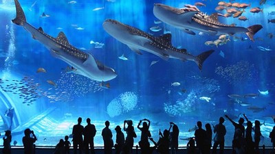 Second Largest Aquarium in the World