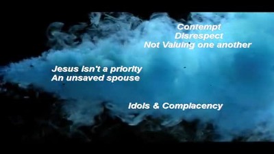 Marriage Triage the Book