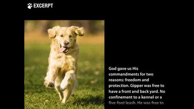 The Gospel According To Gipper by Joe Hamlet