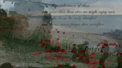 Remembrance/Veterans Day 2011 Canada USA Europe Russia Australia